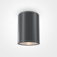 Maytoni Āra griestu lampa Bar O306CL-L7GF Grafīts цена и информация | Уличное освещение | 220.lv