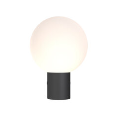 Maytoni Āra sienas lampa Bold O598WL-01B цена и информация | Уличное освещение | 220.lv