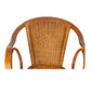Krēsls RattaNeo Coral f115 konjaka цена и информация | Atpūtas krēsli | 220.lv