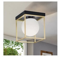 Toolight griestu lampa Plafons APP1166-1C цена и информация | Настенный/подвесной светильник Eye Spot 11 BL, чёрный | 220.lv