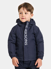 Детская зимняя куртка Didriksons RIO, темно-синий цвет цена и информация | Зимняя одежда для детей | 220.lv