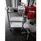 Profesionāls krēsls-ķeblītis SEDLO skaistumkopšanas meistariem AM-302, balts cena un informācija | Mēbeles skaistumkopšanas saloniem | 220.lv