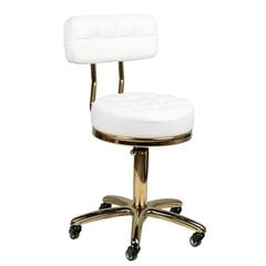 Профессиональное кресло-табурет для мастера красоты GOLD AM-961, белого цвета цена и информация | Мебель для салонов красоты | 220.lv