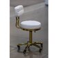 Profesionāls krēsls-ķeblītis skaistumkopšanas meistaram GOLD AM-961, balts cena un informācija | Mēbeles skaistumkopšanas saloniem | 220.lv