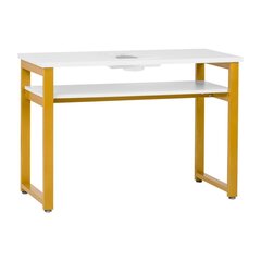 Profesionāls manikīra galds 23G balts ar putekļu savācēju MOMO S41 LUX cena un informācija | Mēbeles skaistumkopšanas saloniem | 220.lv