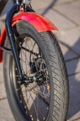 Corratec Life S  цена и информация | Покрышки, шины для велосипеда | 220.lv