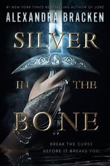 Silver in the Bone цена и информация | Книги для подростков и молодежи | 220.lv