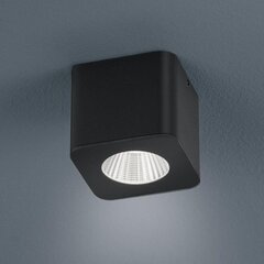 Светодиодный потолочный светильник helestra OSO / прожектор цена и информация | Потолочные светильники | 220.lv