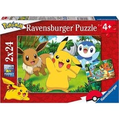 Pokemon puzzle 2x24pcs cena un informācija | Puzles, 3D puzles | 220.lv