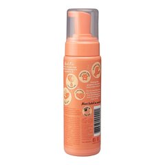 Очищающая пенка Pet Head Quick Fix Пёс Персик (200 ml) цена и информация | Косметические средства для животных | 220.lv