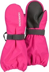Didriksons детские зимние перчатки BIGGLES, розовый цвет цена и информация | Зимняя одежда для детей | 220.lv