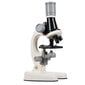 Mācību mikroskops 1200x cena un informācija | Attīstošās rotaļlietas | 220.lv