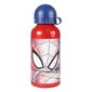 3D bērnu soma Spiderman, sarkana/zila cena un informācija | Skolas somas | 220.lv