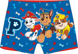 Детские плавки Paw Patrol цена и информация | Плавки для мальчиков | 220.lv