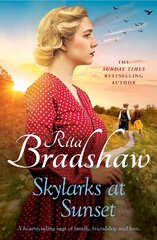 Skylarks At Sunset: An unforgettable saga of love, family and hope цена и информация | Фантастика, фэнтези | 220.lv