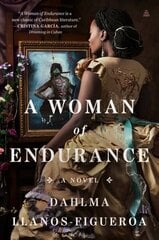 Woman of Endurance: A Novel цена и информация | Фантастика, фэнтези | 220.lv