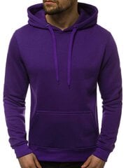 Violets vīriešu džemperis ar kapuci Buvoli JS/2009-51458-L cena un informācija | Vīriešu jakas | 220.lv