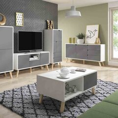 ТВ столик Hakano Creo, белый/серый цвет цена и информация | Тумбы под телевизор | 220.lv