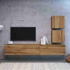 TV galdiņš Hakano Muza, brūns cena un informācija | TV galdiņi | 220.lv