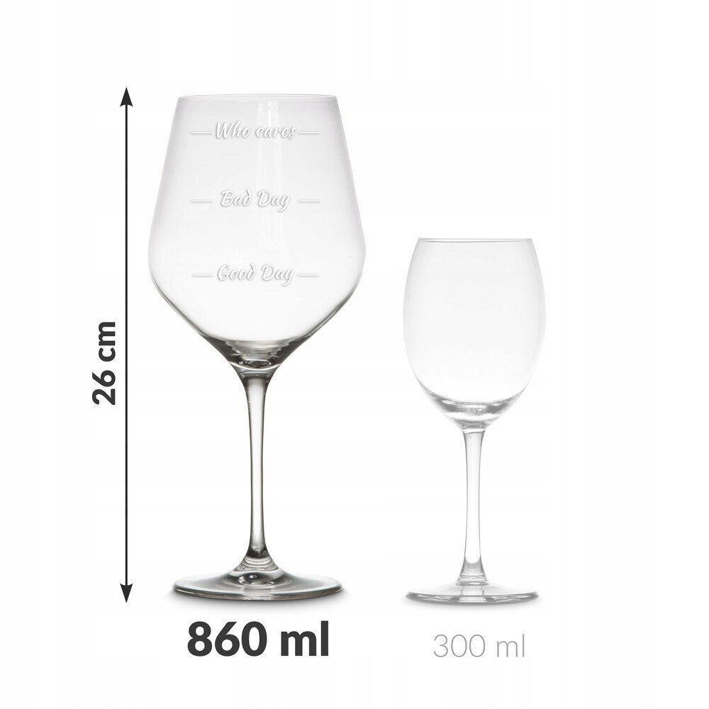 Vīna glāzes futrālis un 2 lielas glāzes ar uzrakstu, 860 ml cena un informācija | Oriģinālas krūzes | 220.lv