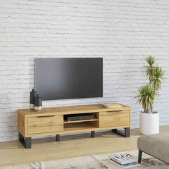 ТВ столик Hakano Etude, коричневый цвет цена и информация | Тумбы под телевизор | 220.lv