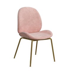 Обеденный стул CosmoLiving by Cosmopolitan Astor, розовый цвет цена и информация | Стулья для кухни и столовой | 220.lv
