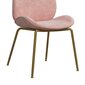 Ēdamistabas krēsls CosmoLiving by Cosmopolitan Astor, rozā cena un informācija | Virtuves un ēdamistabas krēsli | 220.lv