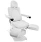 Profesionāls elektriskā pedikīra dīvāns-krēsls AZZURRO 870S PEDI, balts (3 motori) cena un informācija | Mēbeles skaistumkopšanas saloniem | 220.lv