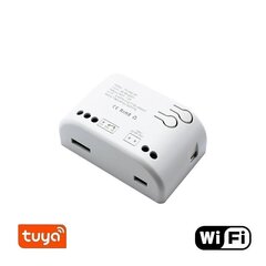 Смарт выключатель - реле Feelspot FS-SRS02W RF, Wi-fi, Tuya цена и информация | Электрические выключатели, розетки | 220.lv