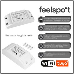 Смарт выключатель - реле Feelspot FS-WB01W RF, Wi-fi, Tuya цена и информация | Электрические выключатели, розетки | 220.lv