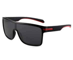 Поляризованные солнцезащитные очки для мужчин B1 цена и информация | Солнцезащитные очки для мужчин | 220.lv
