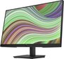 HP 65P62E9 цена и информация | Monitori | 220.lv