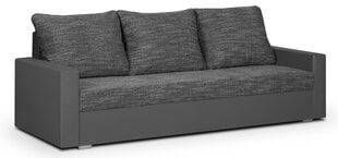 Трехместный диван Lion, серый цена и информация | Диваны | 220.lv