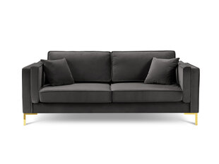Trīsvietīgs dīvāns Luis 3, tumši pelēks/zeltains cena un informācija | Dīvāni | 220.lv