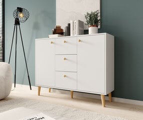 Kumode ADRK Furniture Besa 2D3S, balta/brūna цена и информация | Комоды | 220.lv