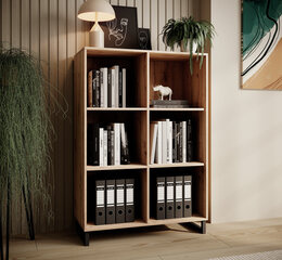 Полка ADRK Furniture Aria, коричневый/черный цвет цена и информация | Полки | 220.lv