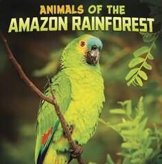 Animals of the Amazon Rainforest цена и информация | Книги для подростков  | 220.lv