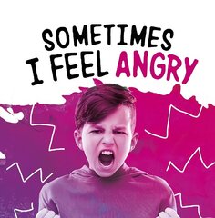 Sometimes I Feel Angry цена и информация | Книги для подростков и молодежи | 220.lv