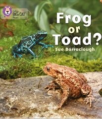 Frog or Toad?: Band 03/Yellow, Frog or Toad?: Band 03/Yellow cena un informācija | Grāmatas pusaudžiem un jauniešiem | 220.lv
