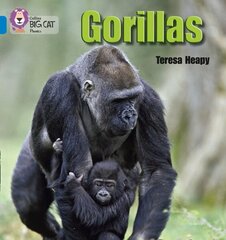 Gorillas: Band 04/Blue, Gorillas: Band 04/Blue cena un informācija | Grāmatas pusaudžiem un jauniešiem | 220.lv