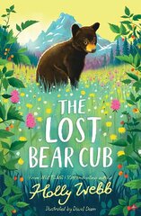 Lost Bear Cub цена и информация | Книги для подростков и молодежи | 220.lv