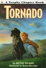 Tornado цена и информация | Книги для подростков и молодежи | 220.lv