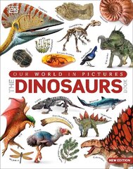 Our World in Pictures The Dinosaur Book цена и информация | Книги для подростков и молодежи | 220.lv
