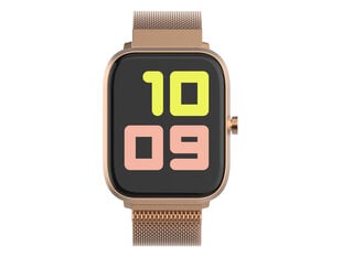 Trevi T-Fit 260 Plus Gold цена и информация | Смарт-часы (smartwatch) | 220.lv