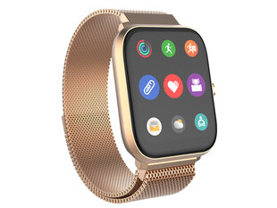 Trevi T-Fit 260 Plus Gold cena un informācija | Viedpulksteņi (smartwatch) | 220.lv