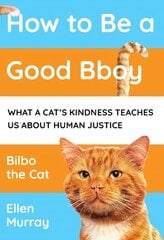 How to be a Good Bboy: What a cat's kindness teaches us about human justice цена и информация | Книги по социальным наукам | 220.lv