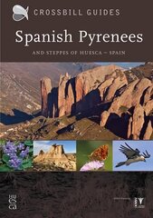 Spanish Pyrenees: And Steppes of Huesca - Spain 2nd Revised edition цена и информация | Путеводители, путешествия | 220.lv