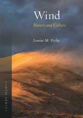 Wind: Nature and Culture цена и информация | Книги по экономике | 220.lv