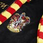 Bērnu Halāts Harry Potter 30 1 30 Melns cena un informācija | Karnevāla kostīmi, maskas un parūkas | 220.lv