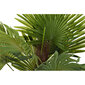 Dekoratīvs Augs DKD Home Decor Palmas koks Zaļš PE (40 x 40 x 90 cm) cena un informācija | Mākslīgie ziedi | 220.lv